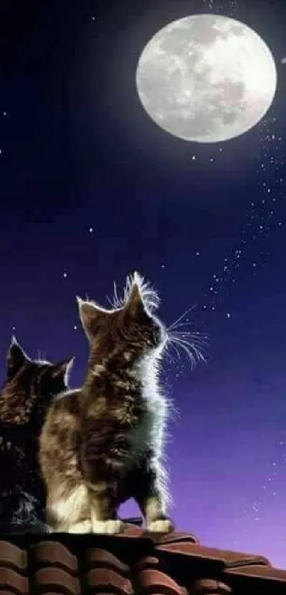 Two cats admire the full moon in a starry, purple night sky on a rooftop.