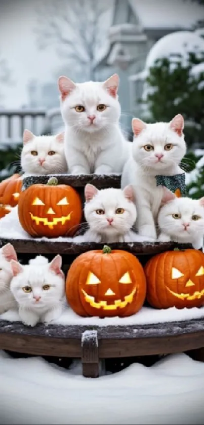 White cats and pumpkins on snowy bench in winter landscape.