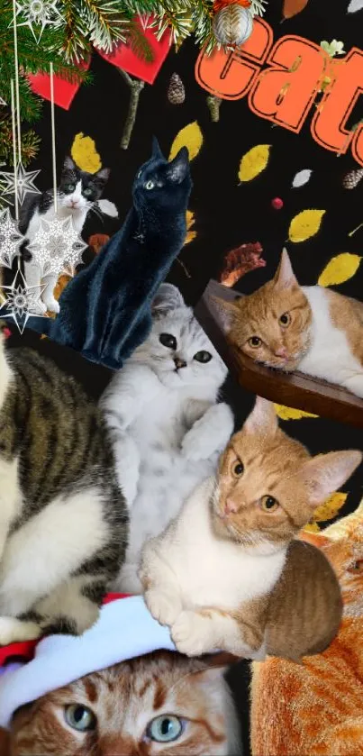 Collage of multiple cats with festive decorations in a vibrant, holiday-themed setting.