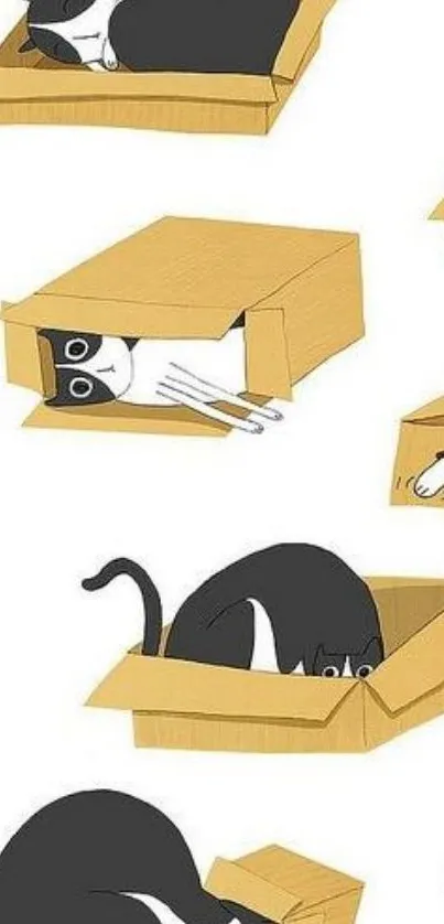 Cartoon cats playfully hiding in boxes on white background.