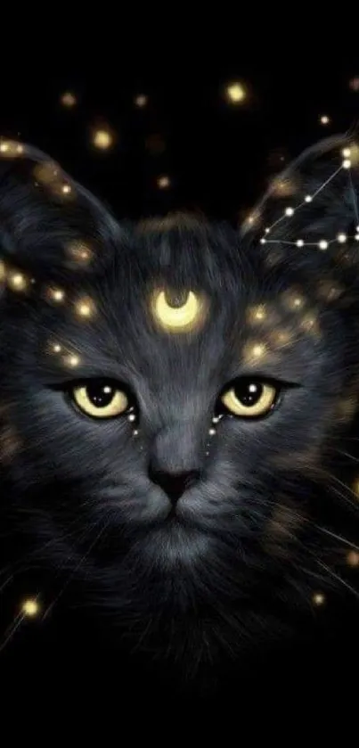 Starry celestial cat with glowing eyes on a black background.