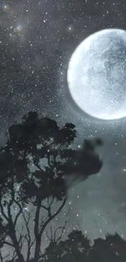 Bright full moon illuminating a starry night sky over silhouetted trees.