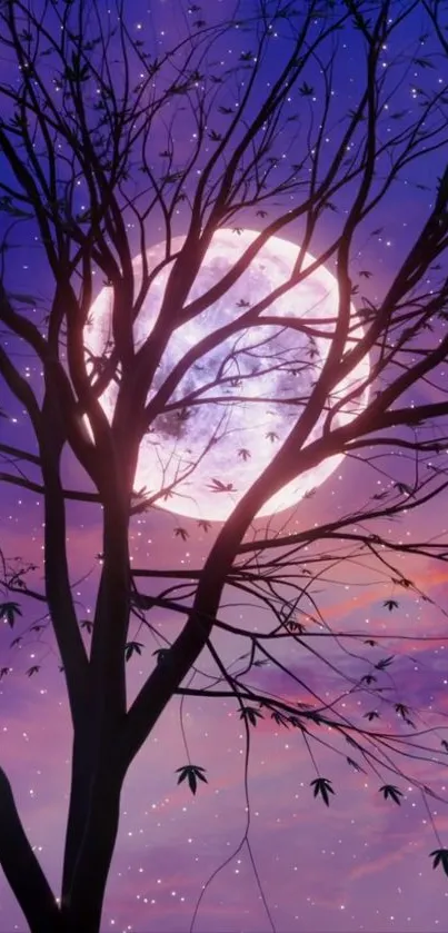 Silhouette of a tree with a full moon and starry sky at twilight.