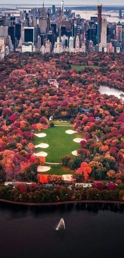 Stunning aerial view of Central Park in autumn, showcasing vibrant red foliage against the city skyline.