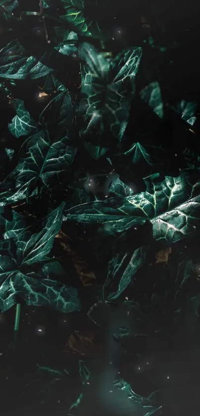 Cg Artwork Terrestrial Plant Pattern Live Wallpaper