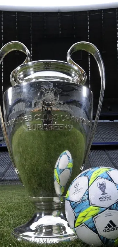 Champions Cup trophy on grass field with soccer ball.