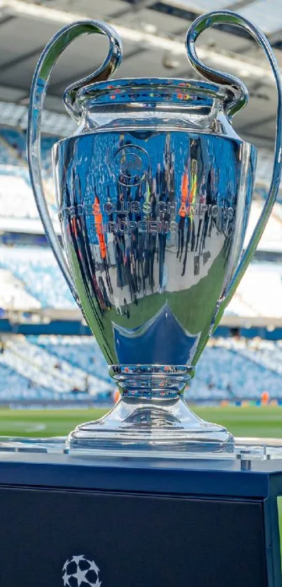 Champions League trophy on a football pitch.