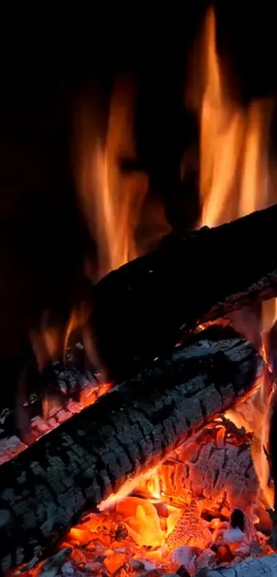 Charcoal Fire Flame Live Wallpaper