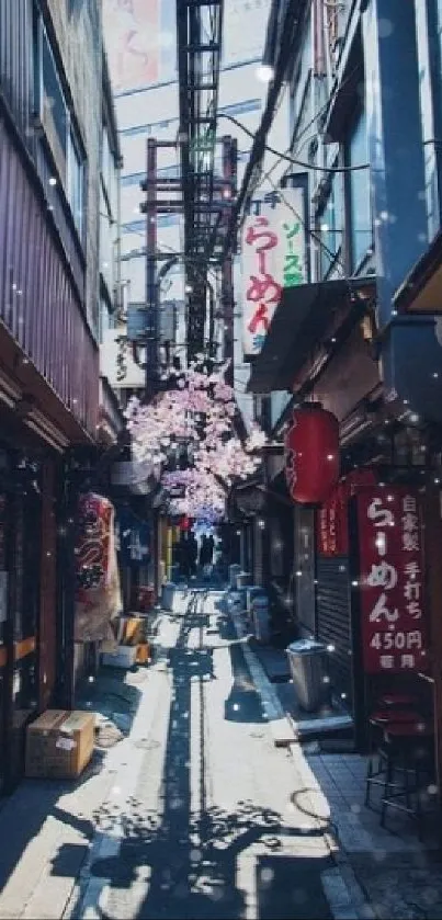 Charming urban alleyway with vibrant signs and traditional lanterns.