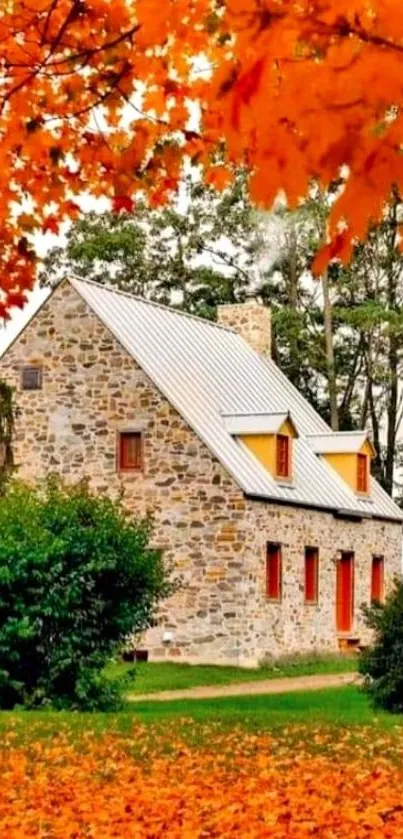 Charming stone cottage amidst vibrant orange autumn leaves.