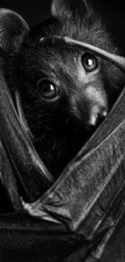 A captivating bat in black and white artwork, ideal for phone wallpaper.