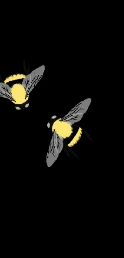 Two yellow bees on a black background mobile wallpaper.