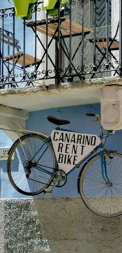 Bike hanging on a blue balcony wall with potted plants.