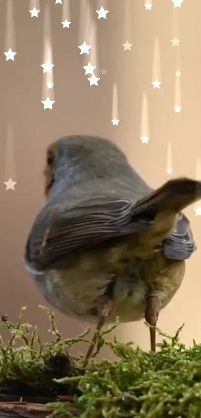 Bird perched on moss with starry backdrop.