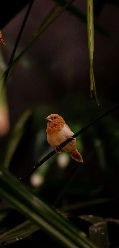 A small bird perched on a branch amidst lush green foliage.