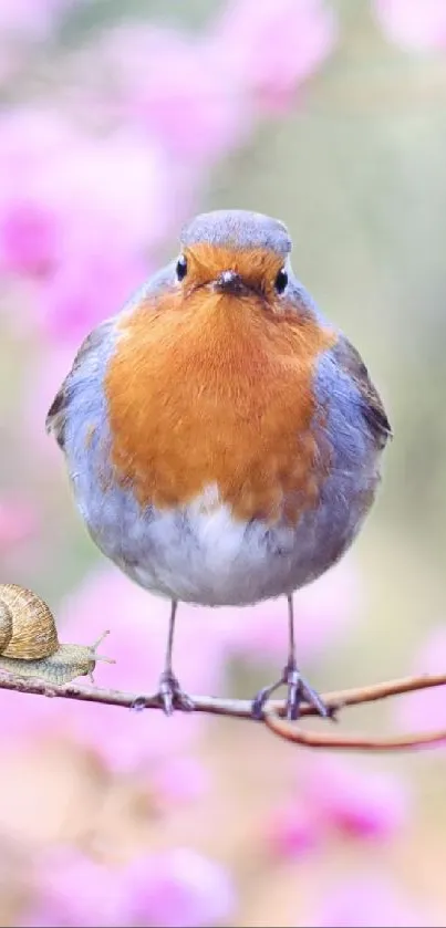 Charming bird on a blooming branch with pink flowers.