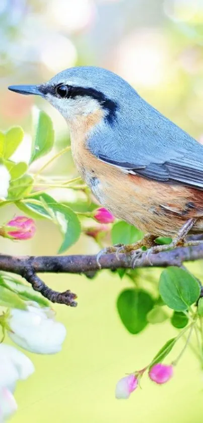 Colorful bird perched on a blooming branch wallpaper.