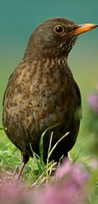 Bird standing in a colorful meadow with green and purple hues.