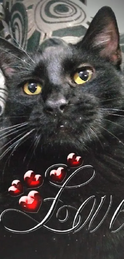 Charming black cat with heart graphics on a patterned backdrop.