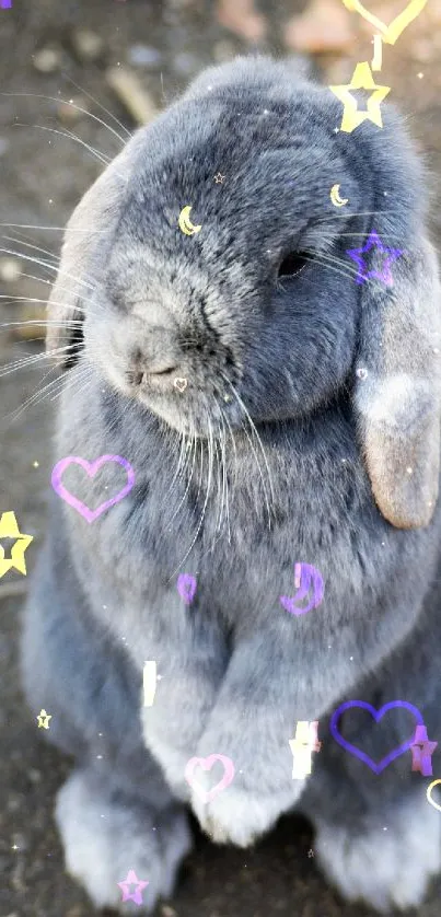 Cute gray bunny with stars and hearts pattern.