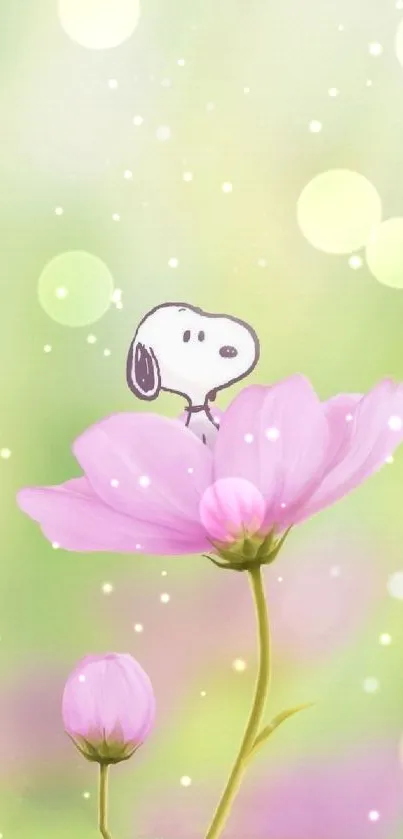 Cute cartoon on pink flower in soft green background wallpaper.