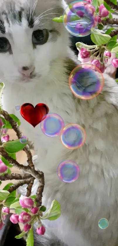 Fluffy cat with pink blossoms and bubbles in dreamy wallpaper.