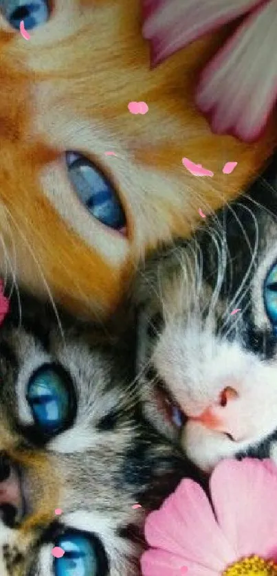 Adorable cats with blue eyes surrounded by pink flowers.