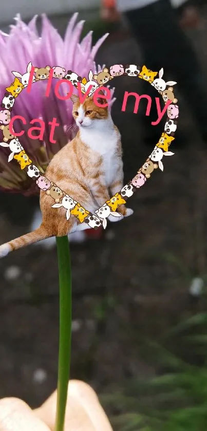 Cat with pink flower and heart frame in nature background.