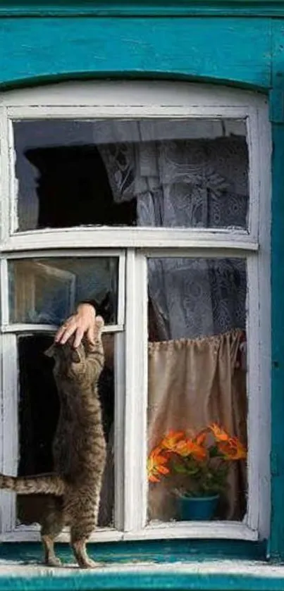 Cat reaching towards hand through window with flowers and teal frame.