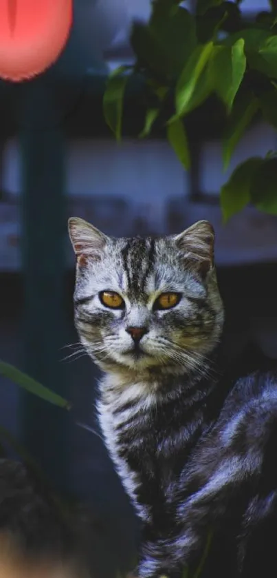 Charming cat with golden eyes in a lush garden setting.