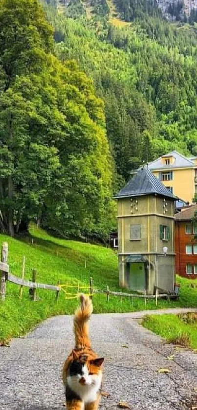 A cat walking on a path in a lush mountain village.