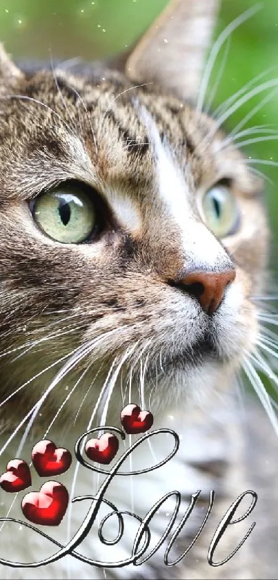 A charming cat with heart accents in a lush green garden setting.