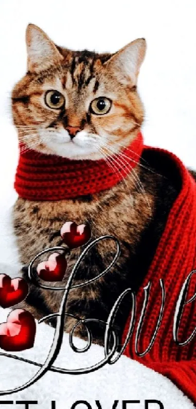 Adorable cat in red scarf with love design and text 'Pet Lover'.