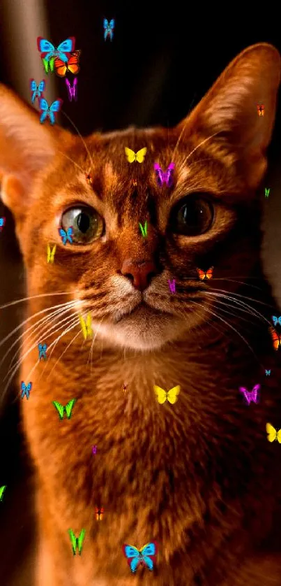 Close-up portrait of a brown cat with captivating eyes.