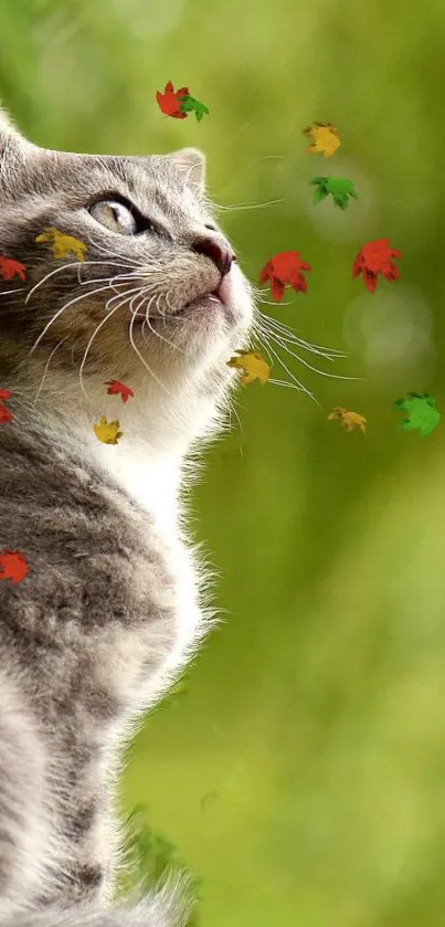 Gray cat with colorful leaves on a green background.