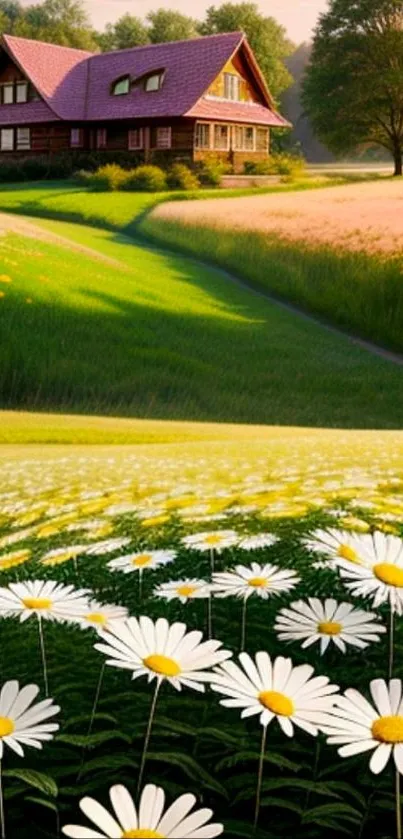 Idyllic countryside with daisies and a quaint house under a blue sky.