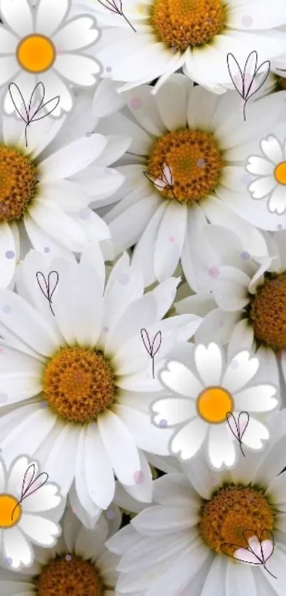 White daisy floral wallpaper with yellow centers and heart doodles for a fresh look.