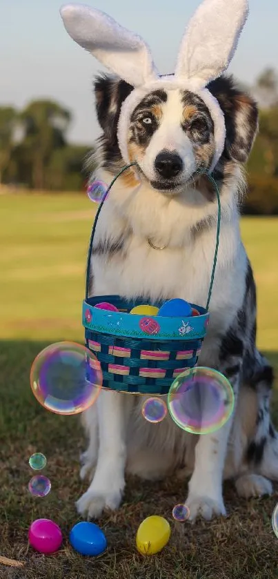 Dog in bunny ears with Easter basket on grass.