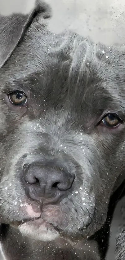Realistic dog portrait wallpaper in grayscale, perfect for mobile devices.