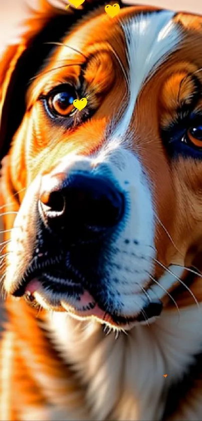 Charming dog portrait with golden brown tones.