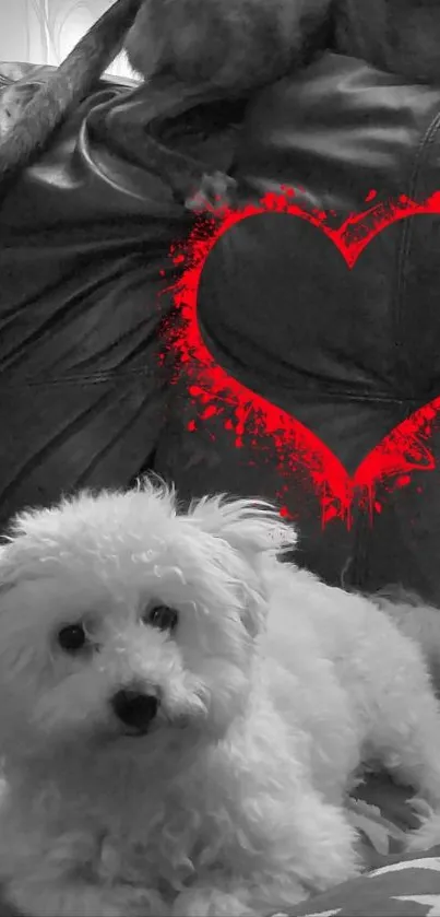 Cute dogs with red heart on grey background phone wallpaper.