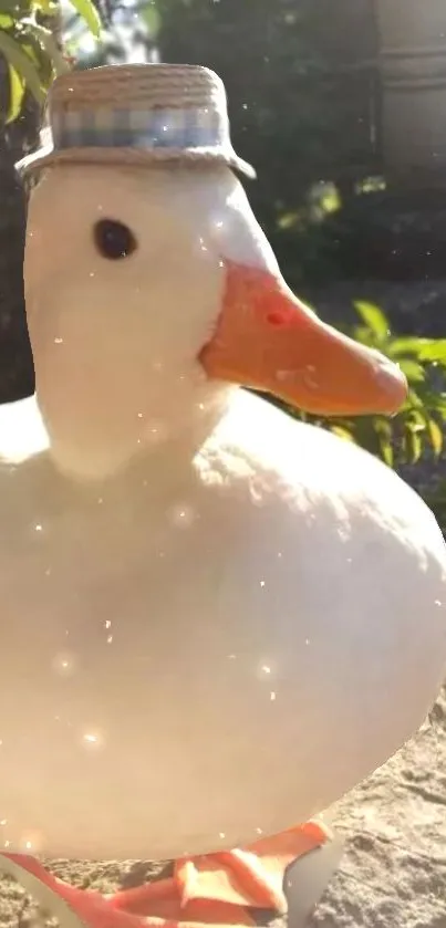 Charming duck in a tiny hat enjoying sunlight outdoors.