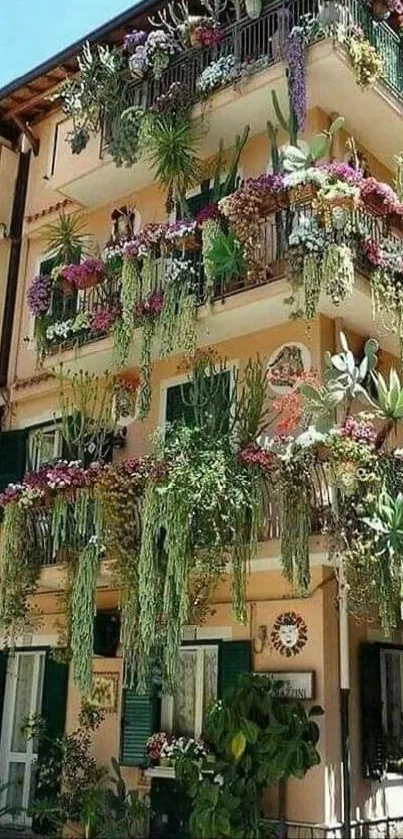 Wallpaper of a building with lush balcony garden and colorful hanging plants.