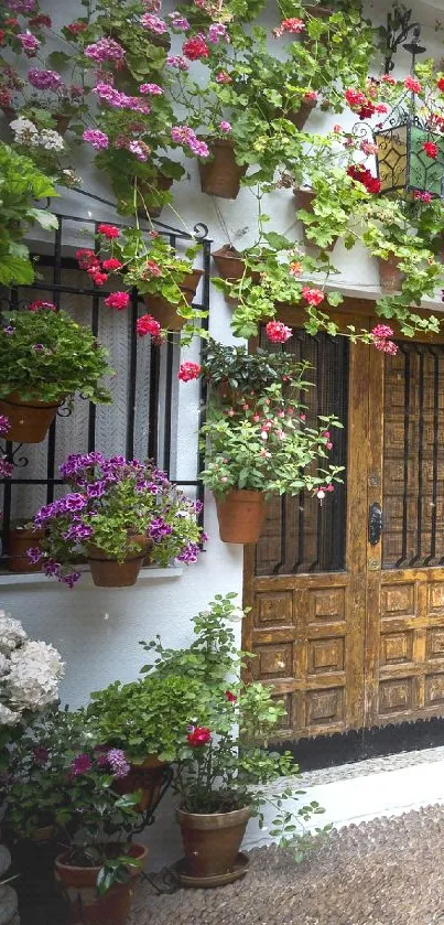 Charming courtyard with vibrant flowers and lush greenery, perfect for wallpapers.