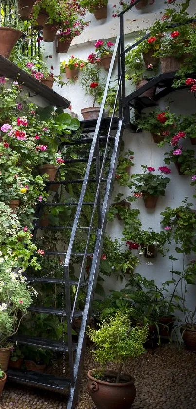 Charming courtyard with vibrant potted flowers and rustic elements.