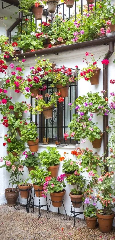 Floral courtyard with colorful potted plants and climbing vines.