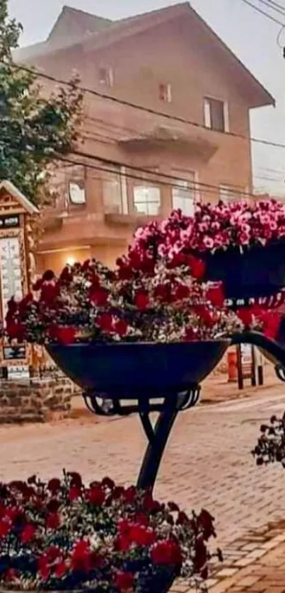 Street with vibrant red flower pots and evening backdrop.