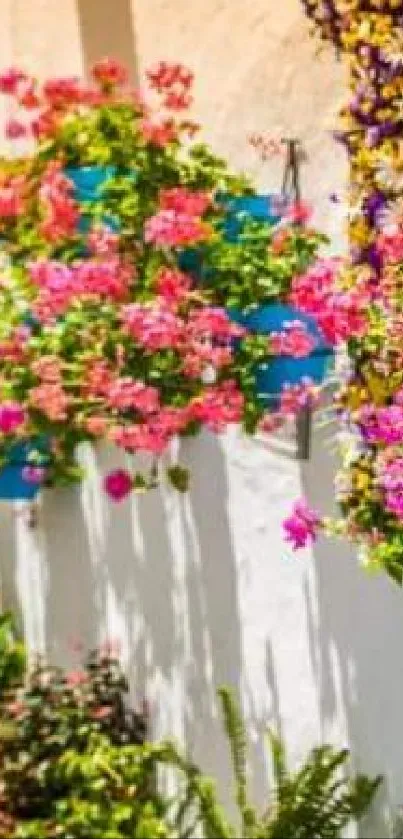 Colorful European street with flowers in bloom.