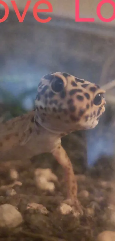 Adorable leopard gecko with 'Love' text.