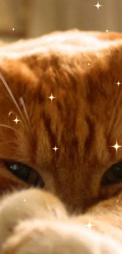 Charming ginger cat with sparkling effect on a mobile wallpaper.